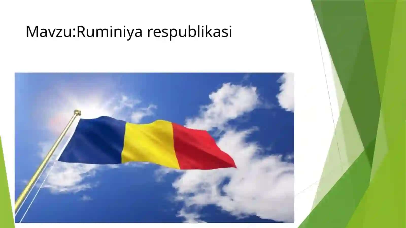 Ruminiya respublikasi 2