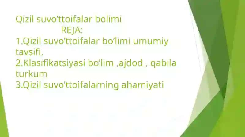 Qizilso’vo’tlarbo’limi 2