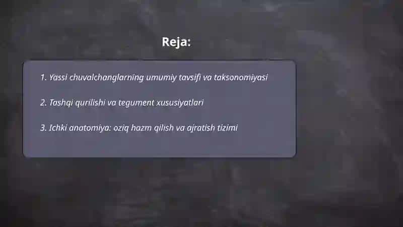 Yassi chuvalchanglar 2