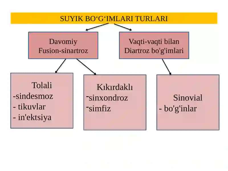 SUYIK BO‘G‘IMLARI TURLARI 2