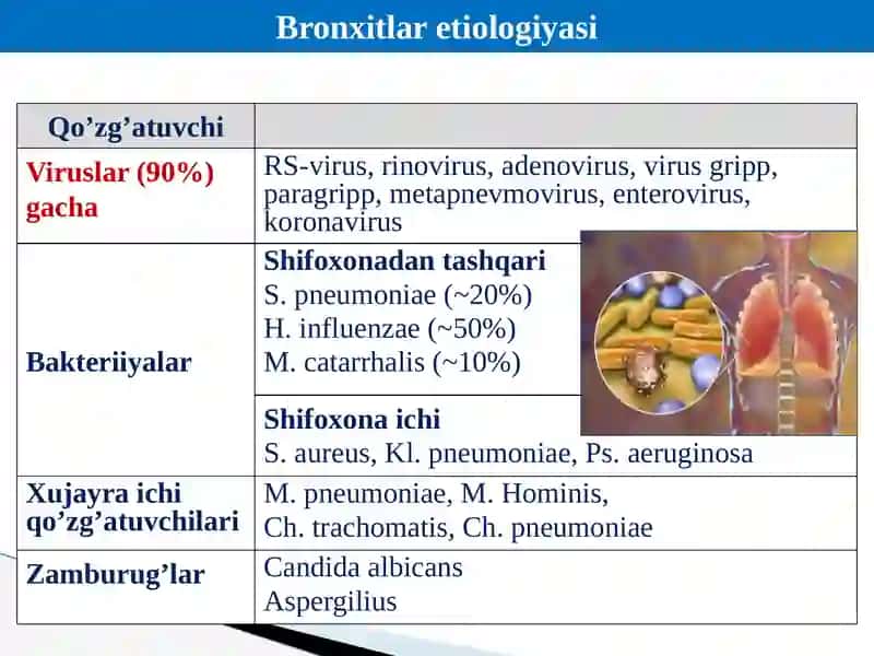 Bronxoobstruktiv sindrom 2