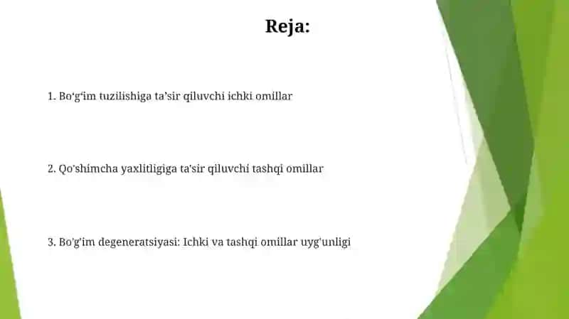 Boʻgʻimlar tuzilishga tashqi va ichki faktorlarning taʼsiri 2
