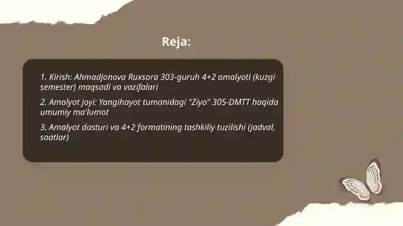 4+2 amalyot oquv dasturi 2