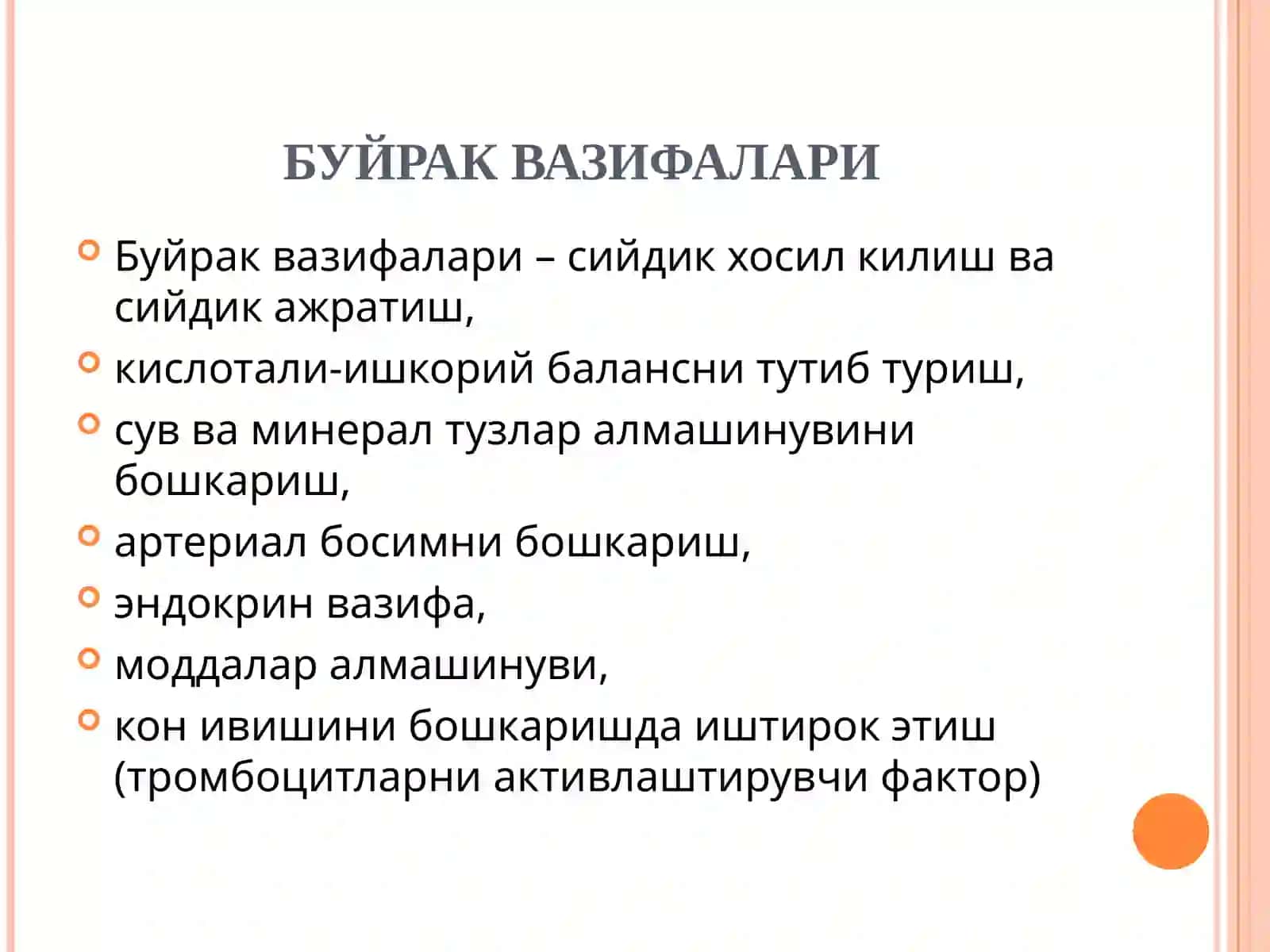 АЙРУВ СИСТЕМАСИ(БУЙРАК,СИЙДИК ЙЎЛИ,ҚОВУҚ,СИЙДИК НАЙИ) 2