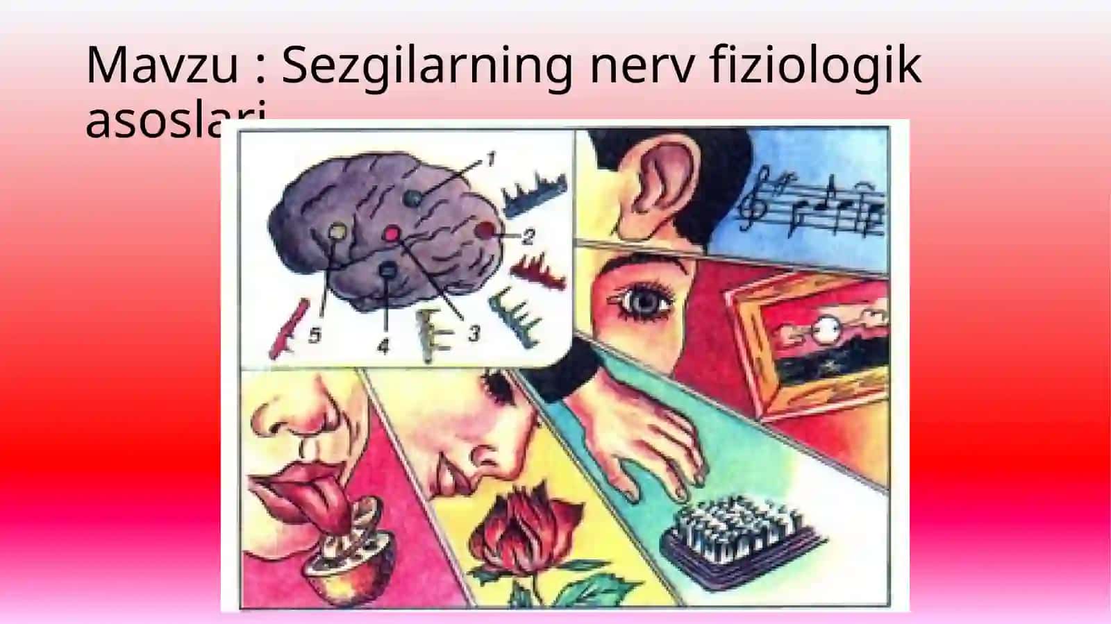 Tasviriy sanat va muhandisslik grafikasi 1-kurs 2-guruh talabasi Ravshanova Sabina 2