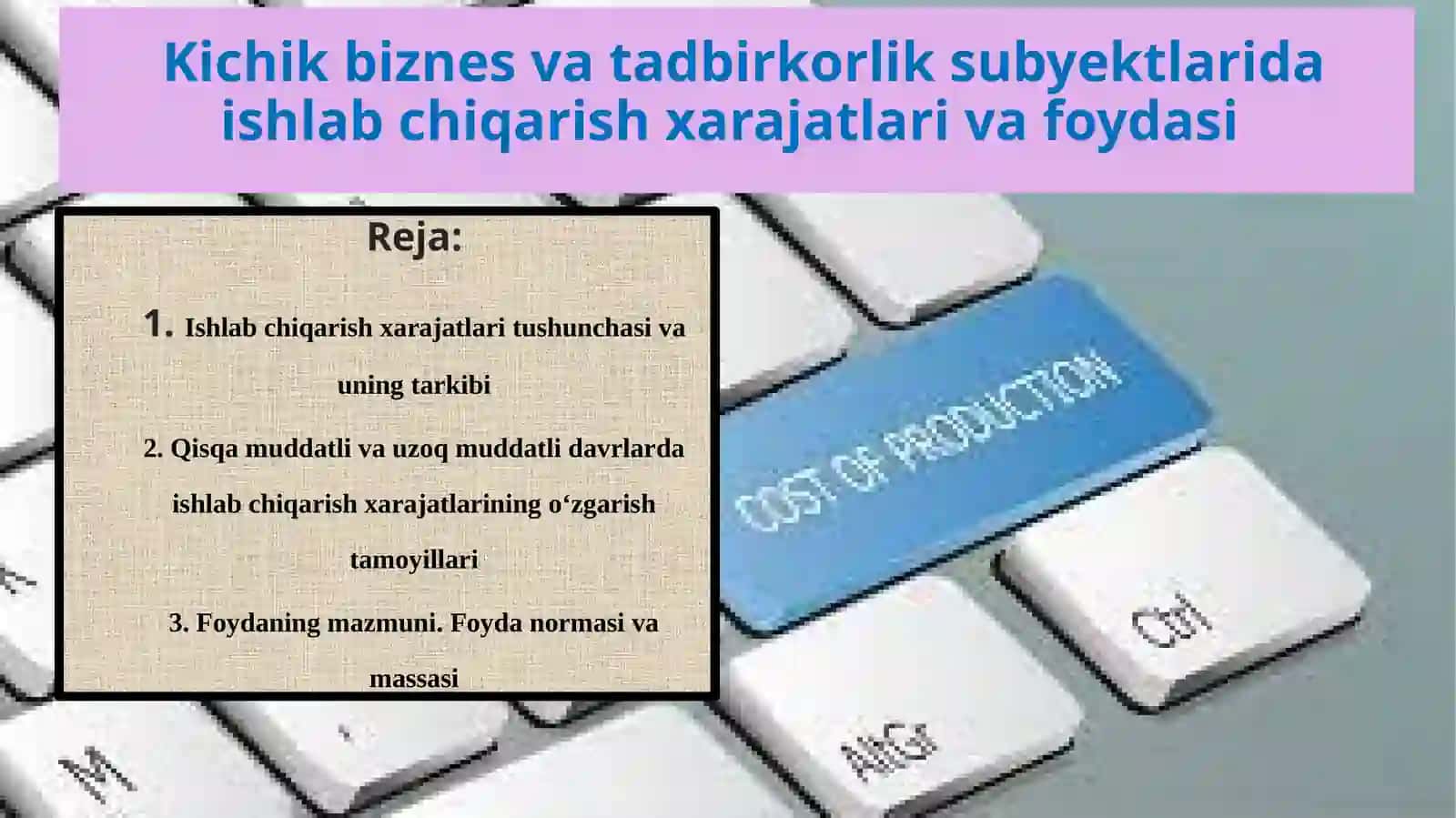 Kichik biznes va tadbirkorlik subyektlarida ishlab chiqarish xarajatlari va foydasi 2