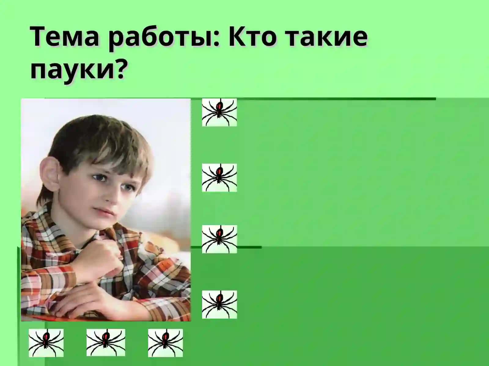 Кто такие пауки? 2
