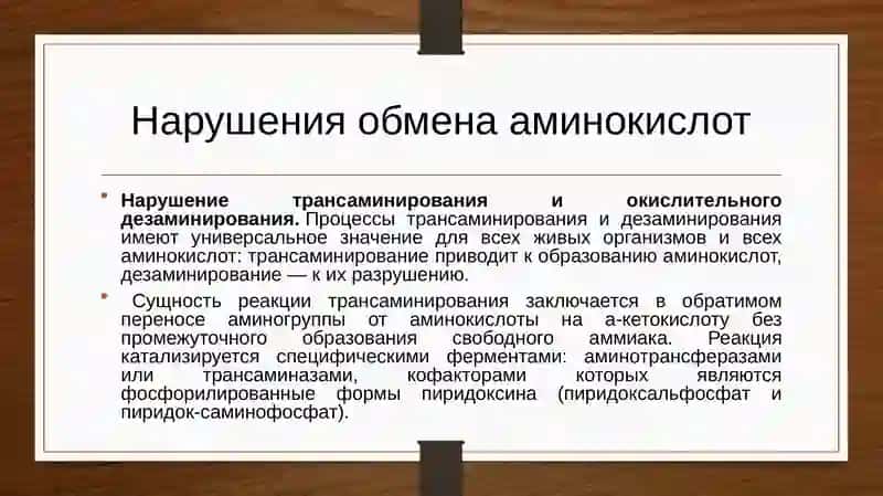 Нарушения обмена аминокислот 2