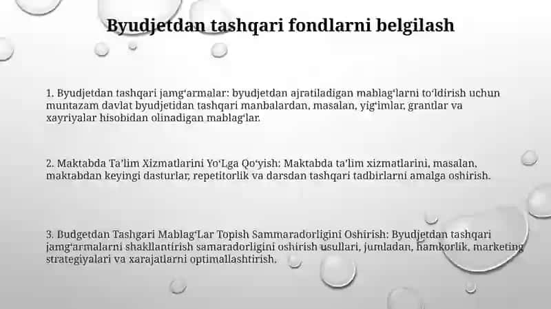 Maktabda Taʼlim Xizmatlarini YoʻLga QoʻYish Orqali Budjetdan Tashqari MablagʻLar Topish Sammaradorligini Oshirish 2