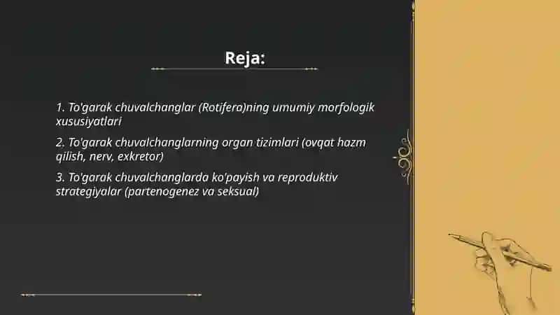 Tõgarak Chuvalchanglar Tipi Qorin Kiprikli Chuvalchanglar Va Nematodalar Sinfiga Xarakteristika Bering 2