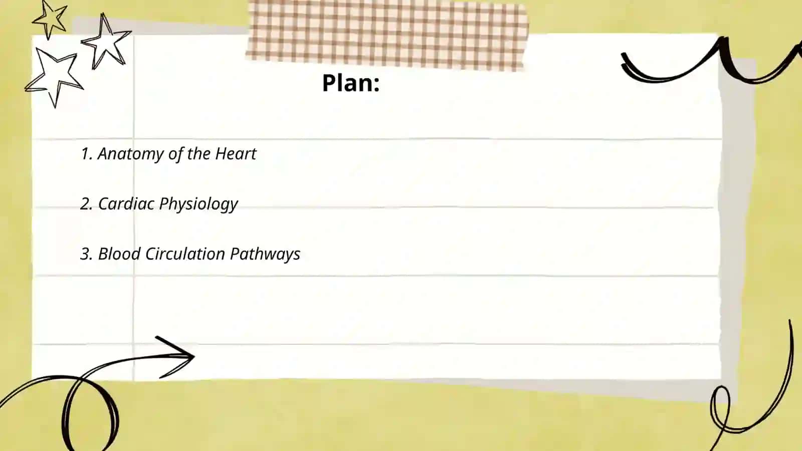 Cardiovascular system 2