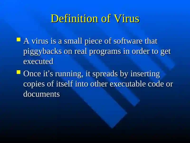 Computer Viruses 2