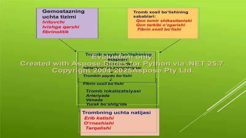 Gemostaz tizimiga ta’sir etuvchi dori vositalarning klinik farmakologiyasi 2