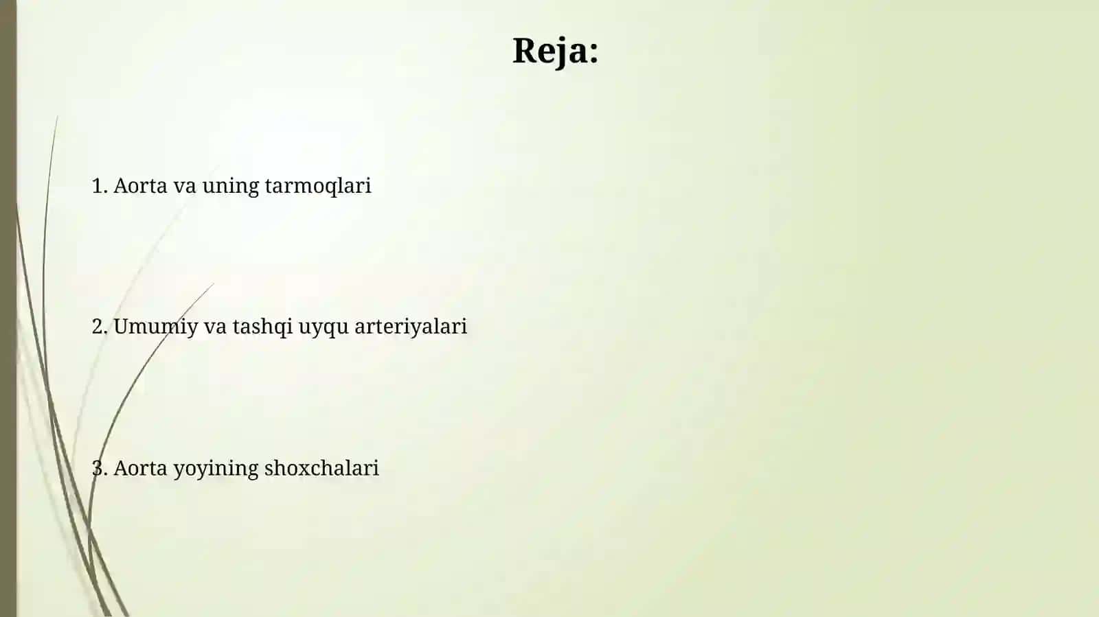 Aorta, aorta ravog'i, umumiy va tashqi uyquarteriyasi 2