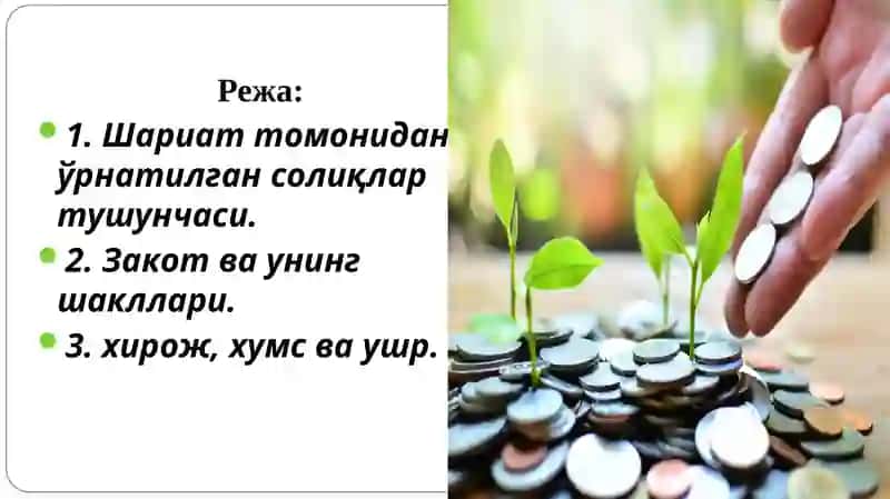Islom Moliyasida Soliqlar 2