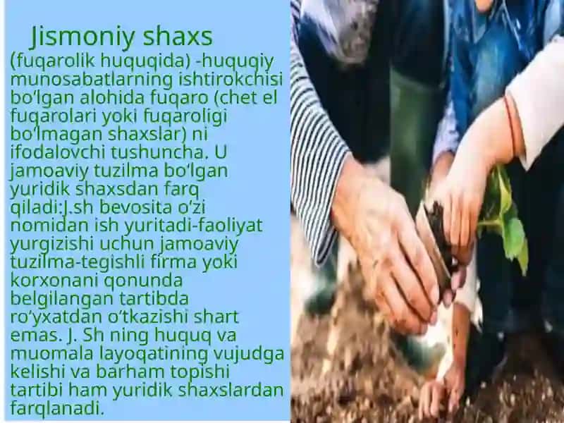 Jismoniy shaxslar faoliyati 2