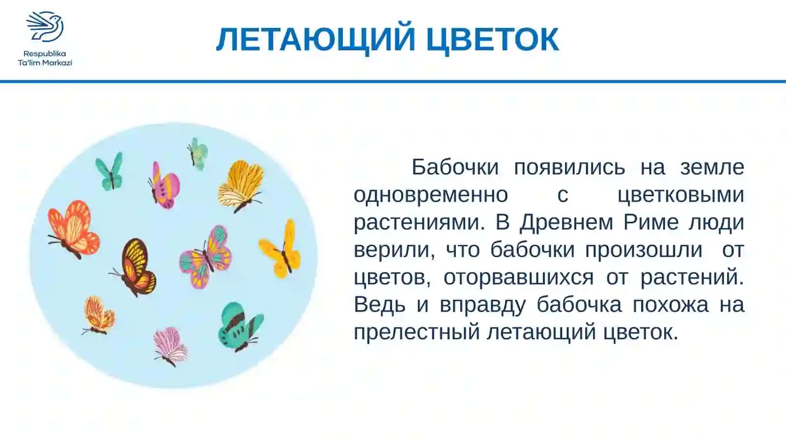 РИСУЕМ БАБОЧЕК 2