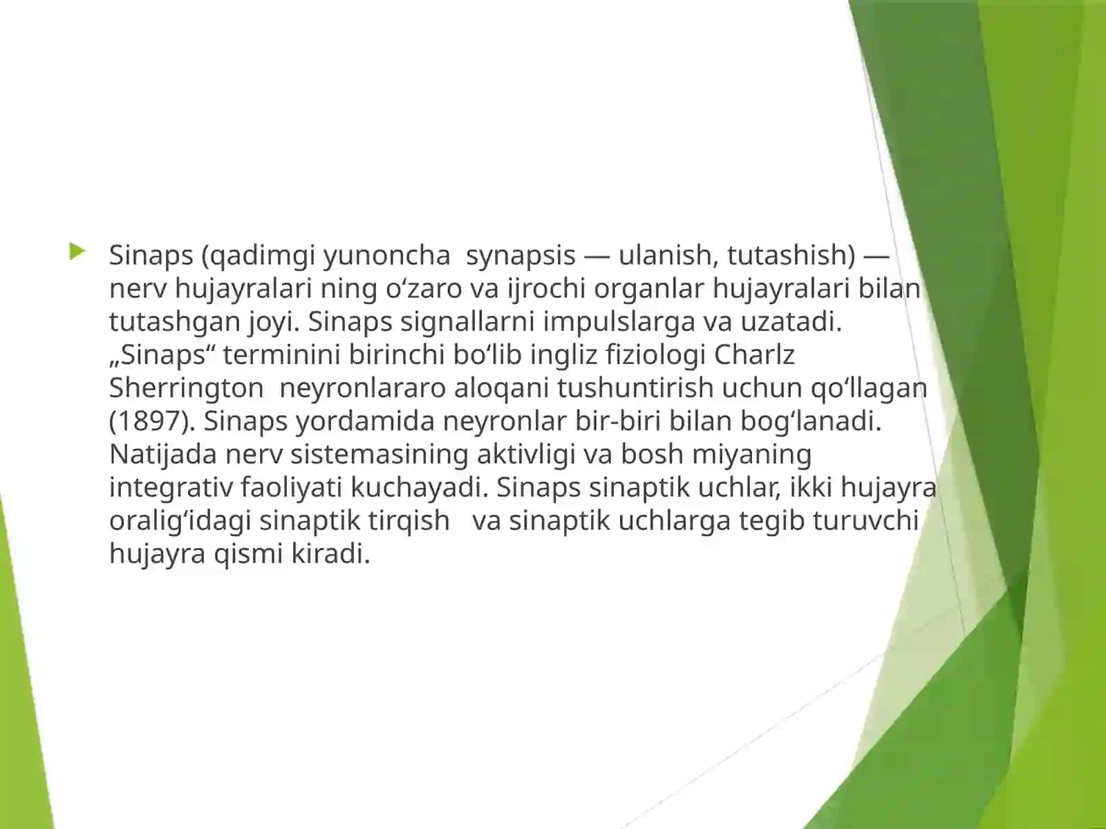 Kimyoviy sinapslarning tuzilishi va xossalari 2