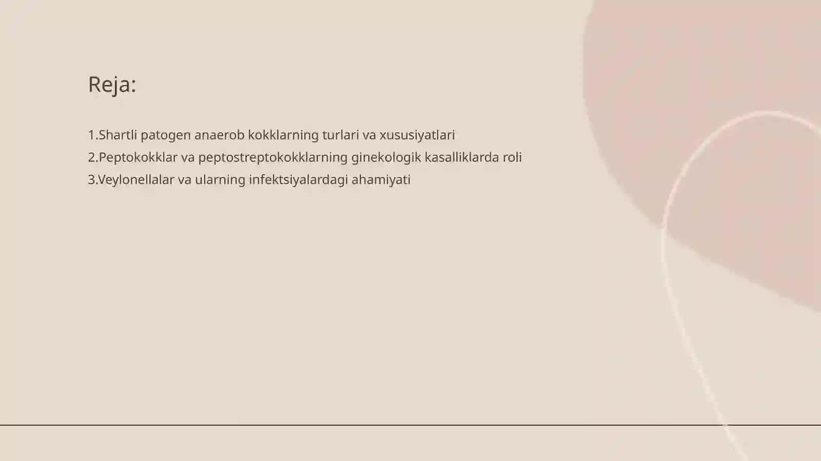 Shartli patogen anaerob kokklarni xususiyatlari 2