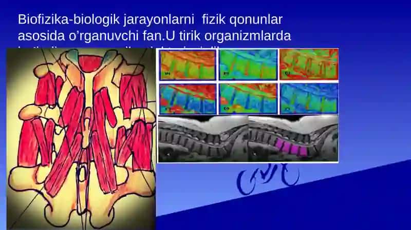 Biologik to’qimalar va qattiq jismlarning zichligini aniqlash 2