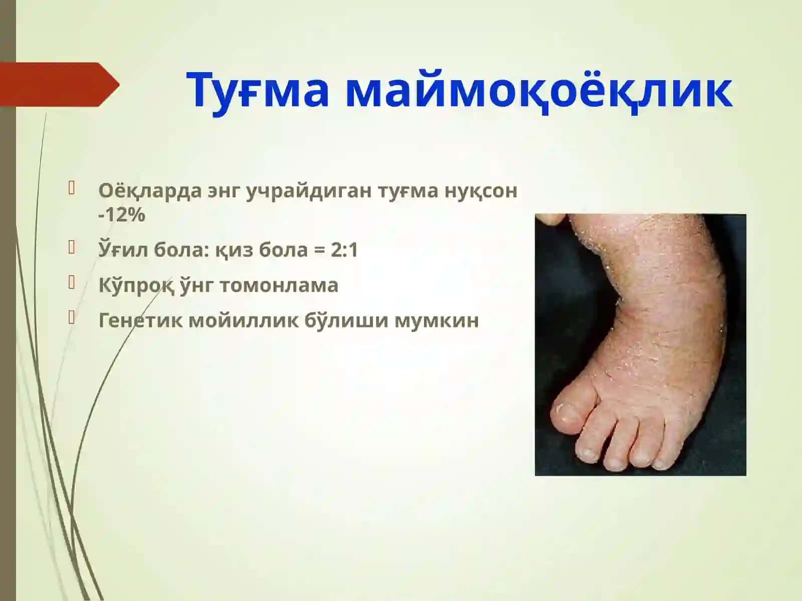 MAYMOQOYOQLIK.  YASSIOYOQLIK. 2