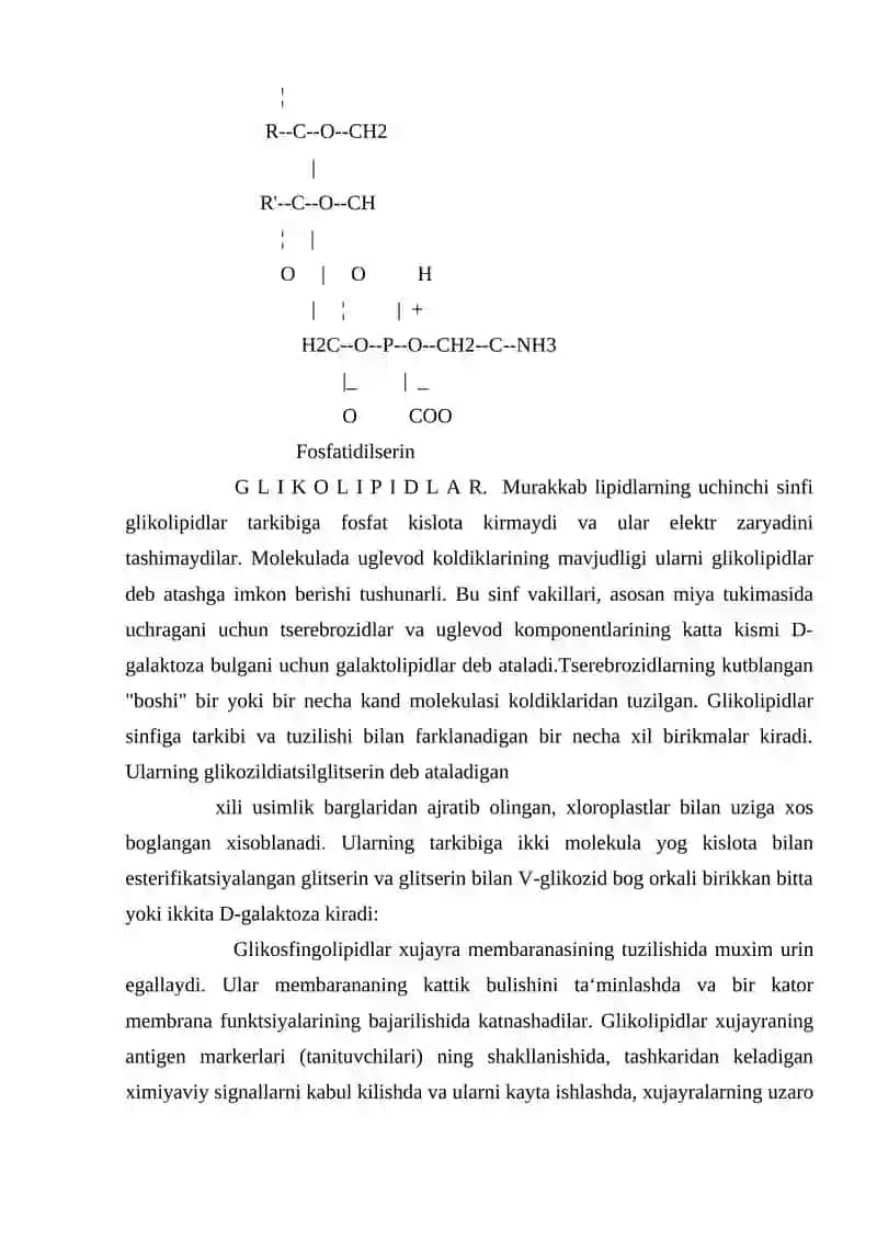Murakkab lipidlar 2