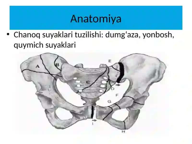 Chanoq suyaklarini jarohatlari Klinikasi 2