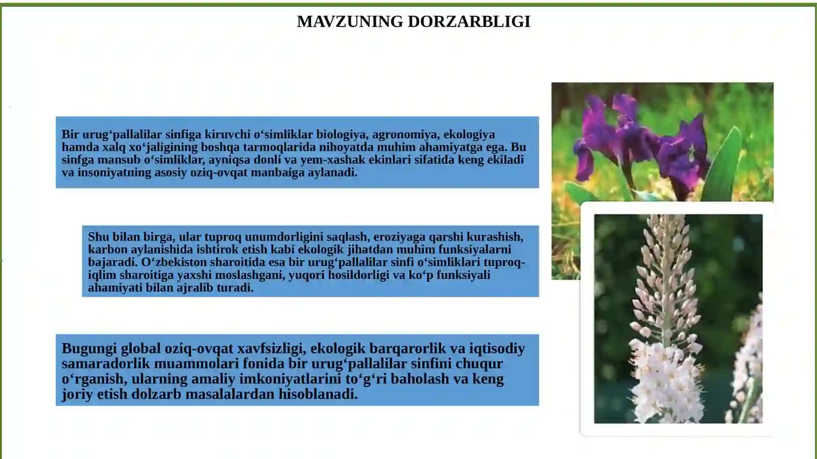 BIR URUG’PALLALILARSINFI,ASOSIYVAKILLARI,AHAMIYATI 2