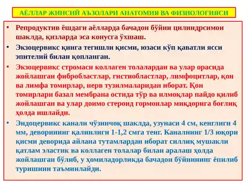 АЁЛЛАР ЖИНСИЙ АЪЗОЛАРИ АНАТОМИЯ ВА ФИЗИОЛОГИЯСИ 2