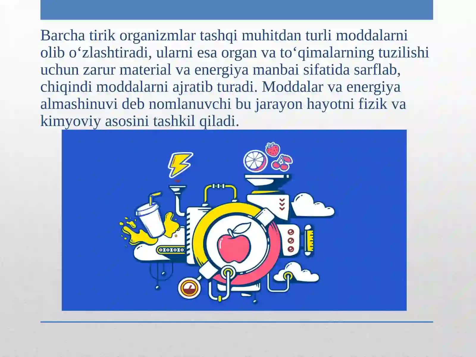 Moddalar almashinuvi. Metabolizm.Tirik organizmlardagi plastik almashinuvi 2