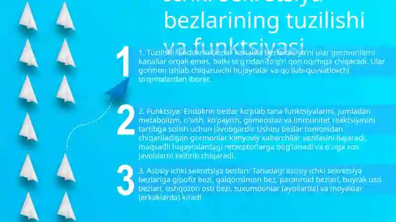 Endokrin Bezlar 2