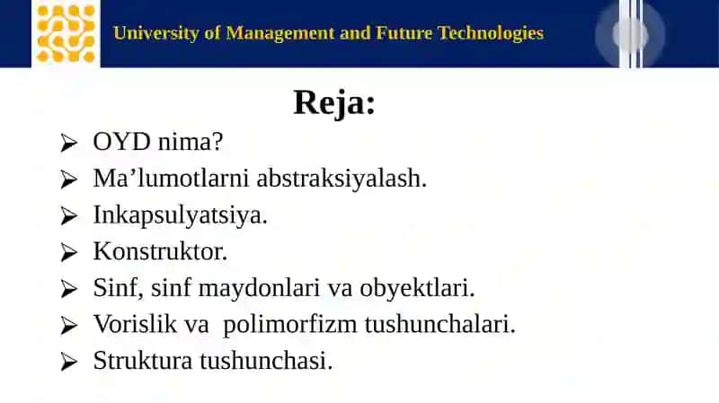 University of Management and Future Technologies 2