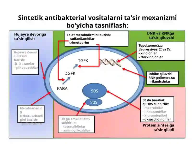 TURLI KIMYOVIY TUZILISHGA EGA SINTETIKENTIBAKTERIAL VOSITALAR 2