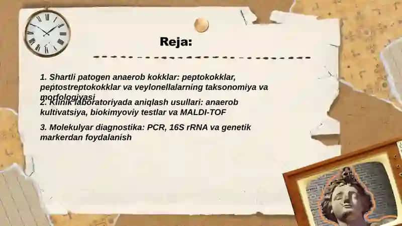 Shartli patogen anaerob kokklar 2
