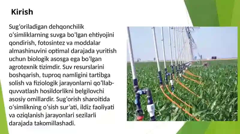 Sugʻoriladigan dehqonchilikning fiziologik asoslari 2