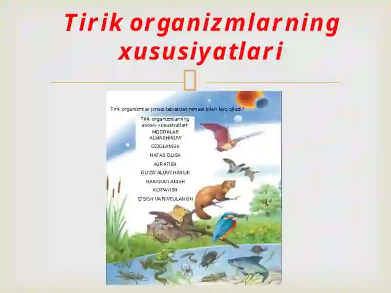 Tirik organizmlarning xususiyatlari 2