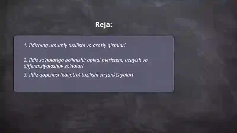 Ildiz tuzilishi, turlarini ildiz zoʻnalariga boʻlib jadval tuzish 2