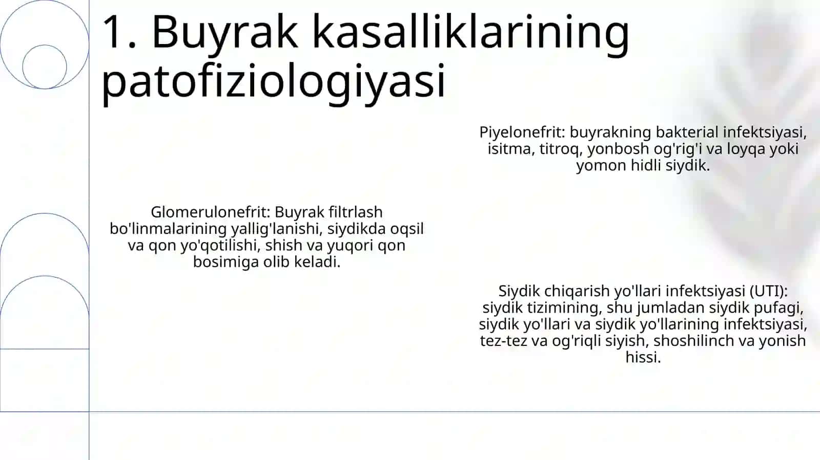 Buyrak Biokimyosi Buyrak Kasalliklari 2