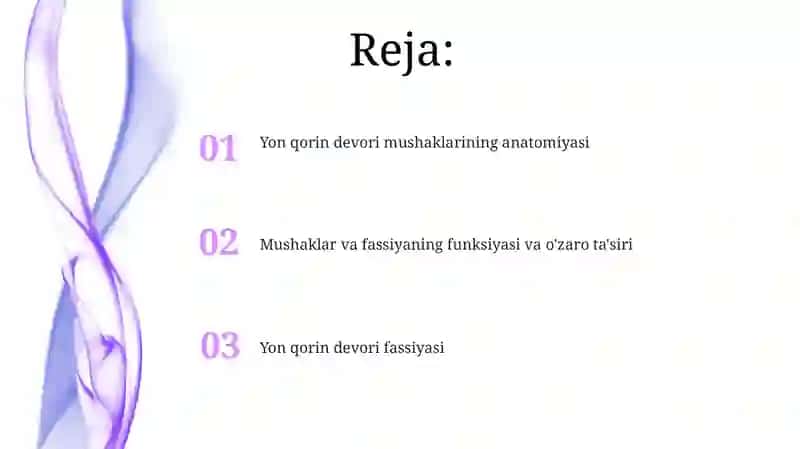 Qorinning yon devori muskullar va fassiyalari 2