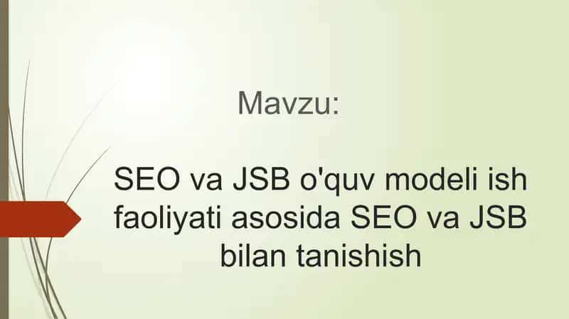 SEO va JSB strukturasi va faoliyati 2