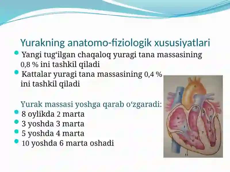 Bolalarda yurak qontomir tizimini kasalliklari semiotikasi 2