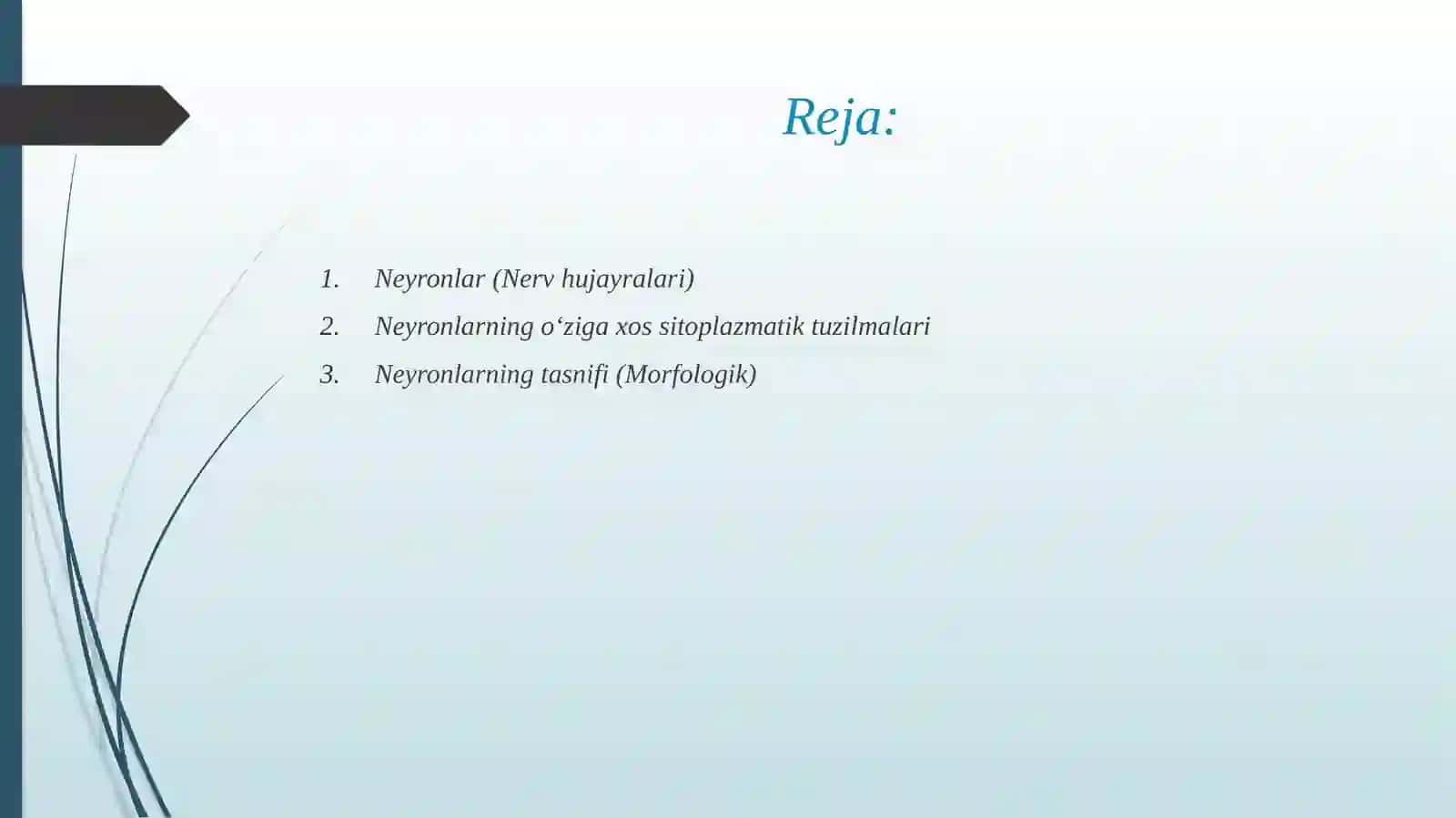 Nerv to'qimasi 2
