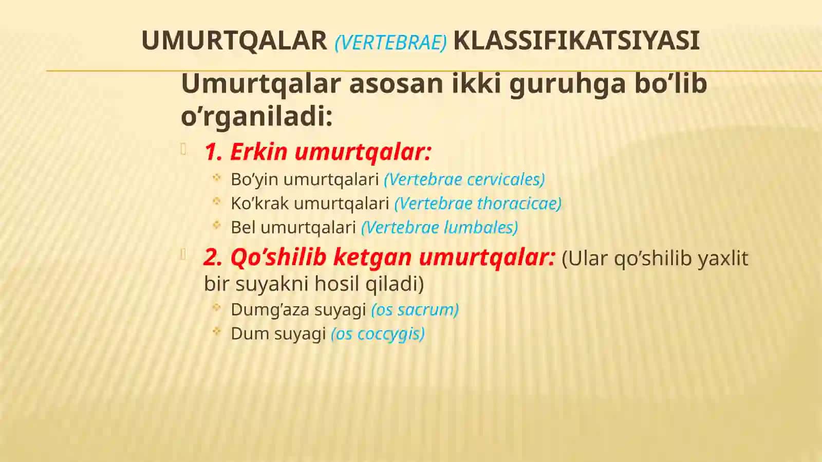 UMURTQALAR ANATOMIYASI 2