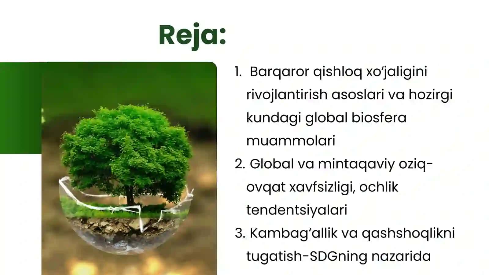 QISHLOQ XOʻJALIGIVA BIOSFERA MUAMMOLARI. OZIQ-OVQAT XAVFSIZLIGIGA ERISHISH VA BARQAROR QISHLOQ XOʻJALIGINI RIVOJLANTIRISH ASOSLARI 2