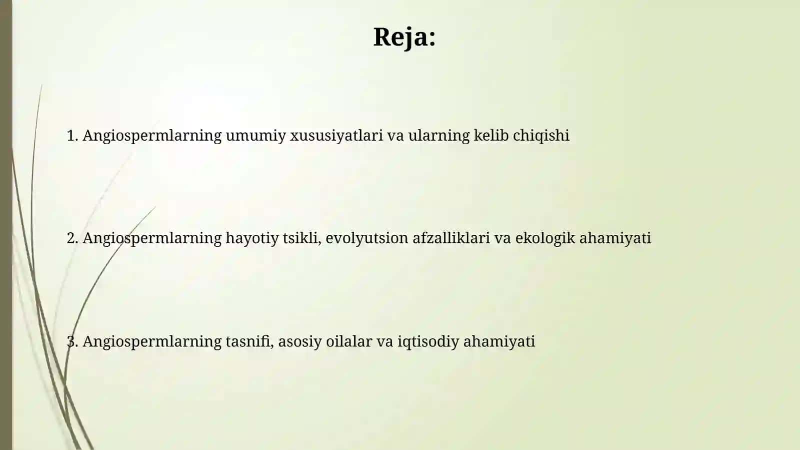 Yopiq urugʻlilar boʻlimining umumiy tavsifi. Asosiy belgilarning kelib chikishi 2