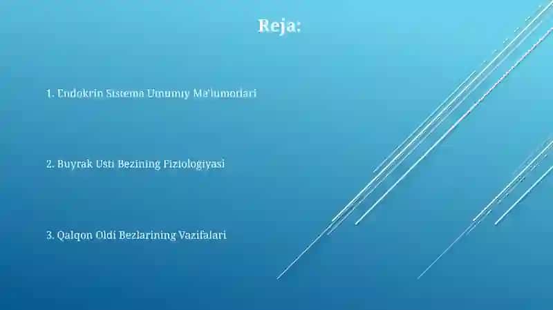 Buyrak Usti Bezining Fiziologiyasi 2
