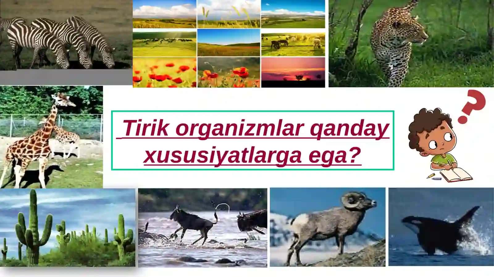 BIOLOGIYANI O‘RGANISH USULLARI 2