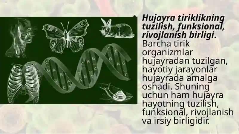 Hayotning huja ra darajasi va uning o‘ziga xos jihatlari 2
