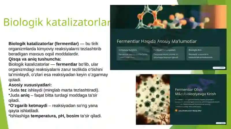 Fermentlar 2