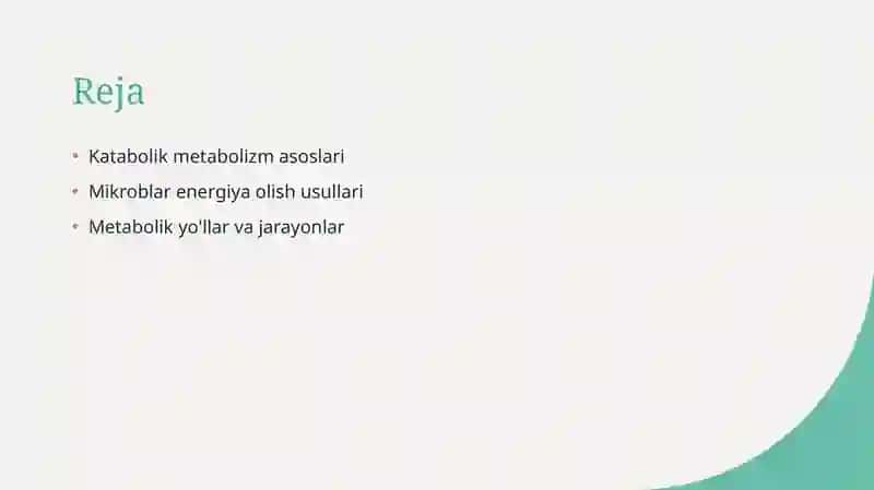 Katabolik metabolizm 2